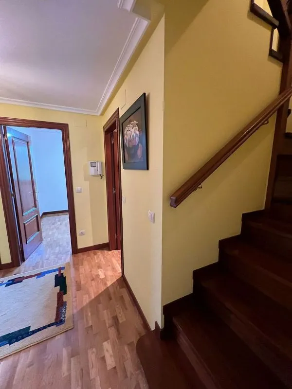 Toad - Duplex with Ascender in Nava