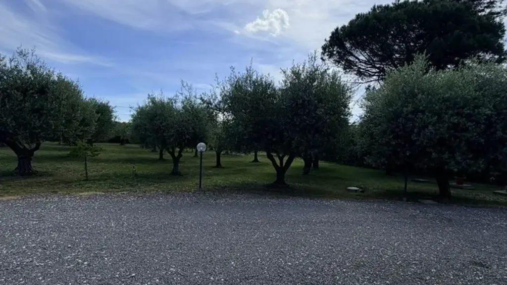 Esterno - Rustic Villa with Olive Grove in Lanuvio