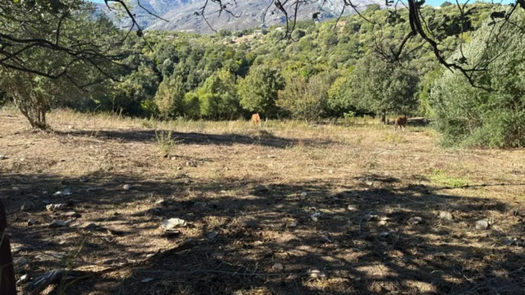 Aed - Buildable Land with Garden in Rapale