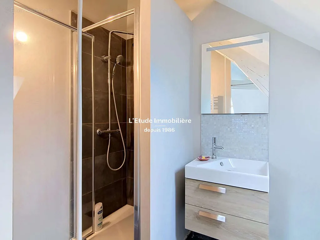 Salles de bain - Duplex de 7 Pièces avec Terrasse à Lyon 4ème