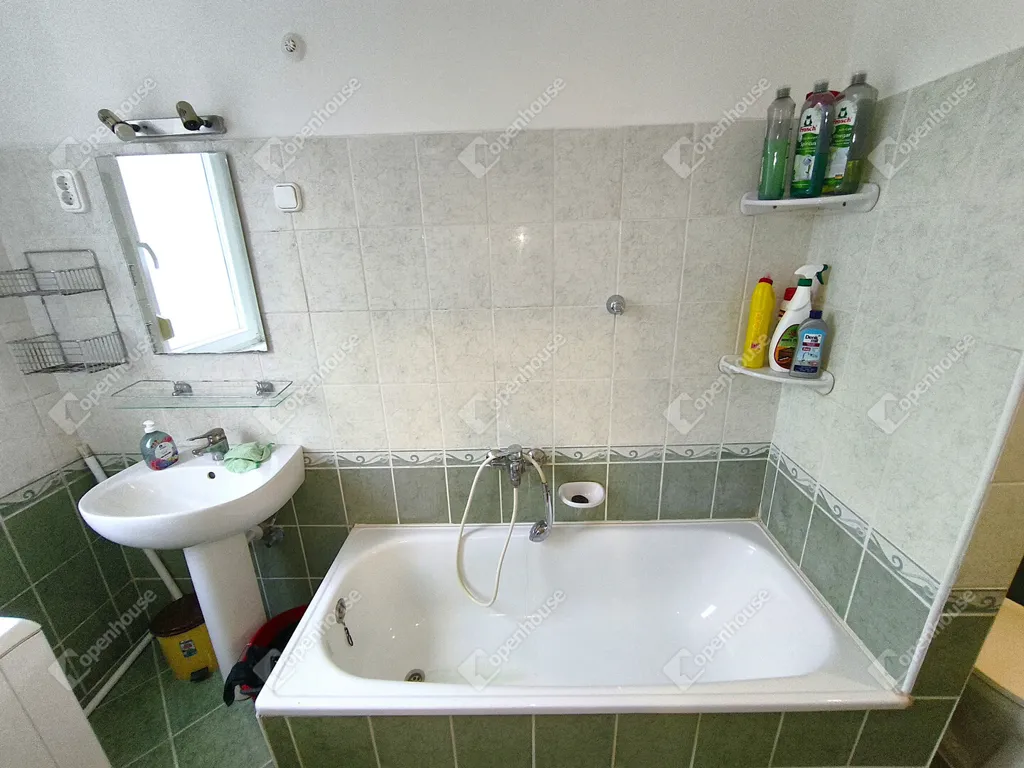 Vannitoad - Brick Apartment with Creative Space in Debrecen