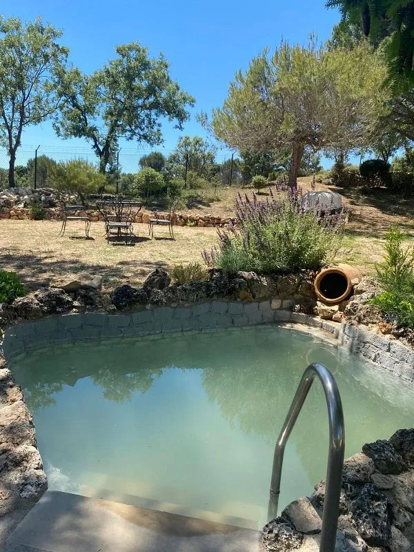 Piscine - Rustic Finca with Pool and Terrace in Durón