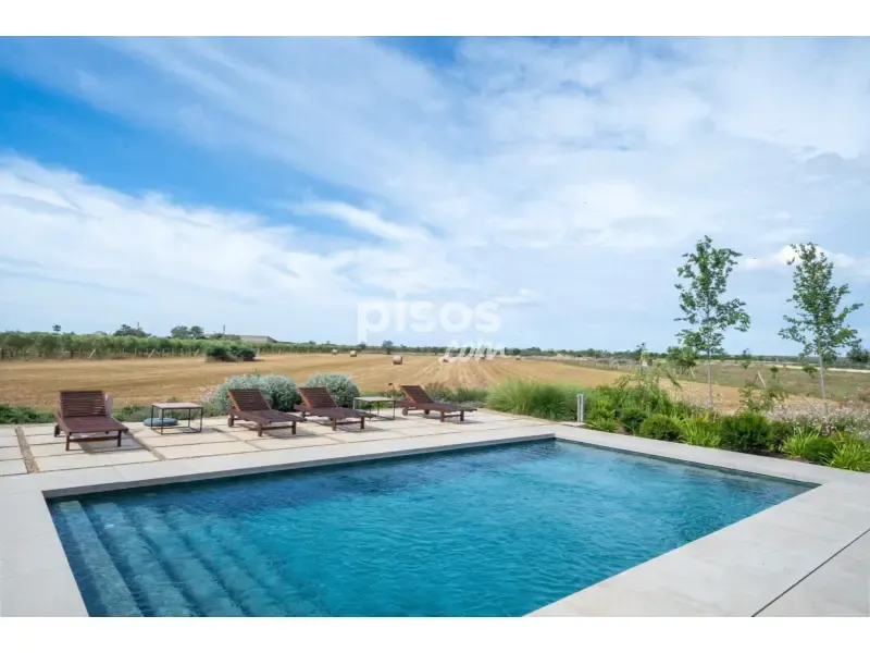 Pool - Newly Built Finca with Pool in Campos