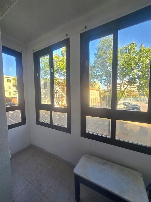 Toad - Apartment for Renovation in Palma Centre