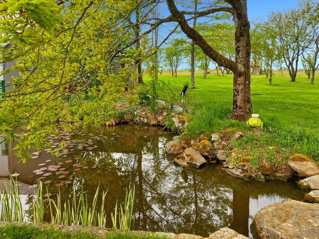 Jardin - Maison avec Jardin Arboré à La Baconnière