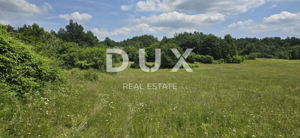 Jardin - Agricultural Land with Vineyard Potential in Pićan