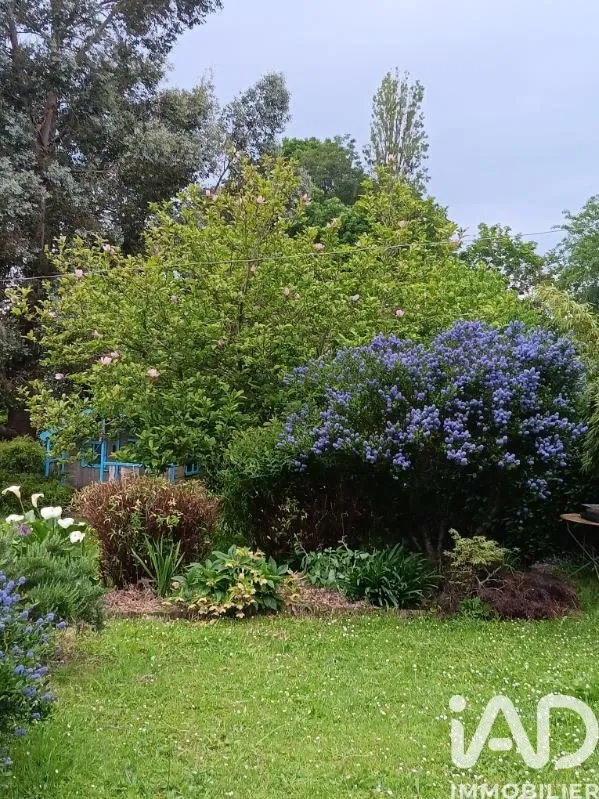 Jardin - Maison traditionnelle avec parc à Bourron-Marlotte