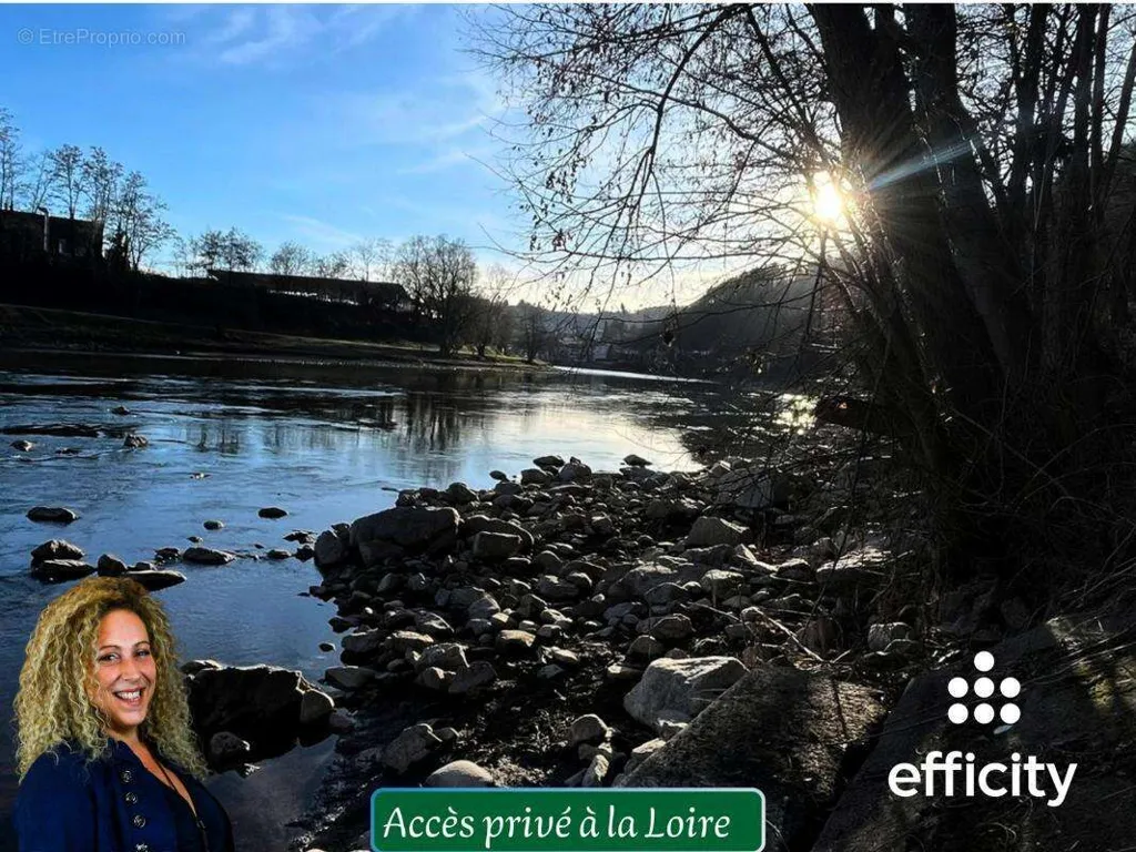 Charming House with Loire River Access in Aurec-Sur-Loire