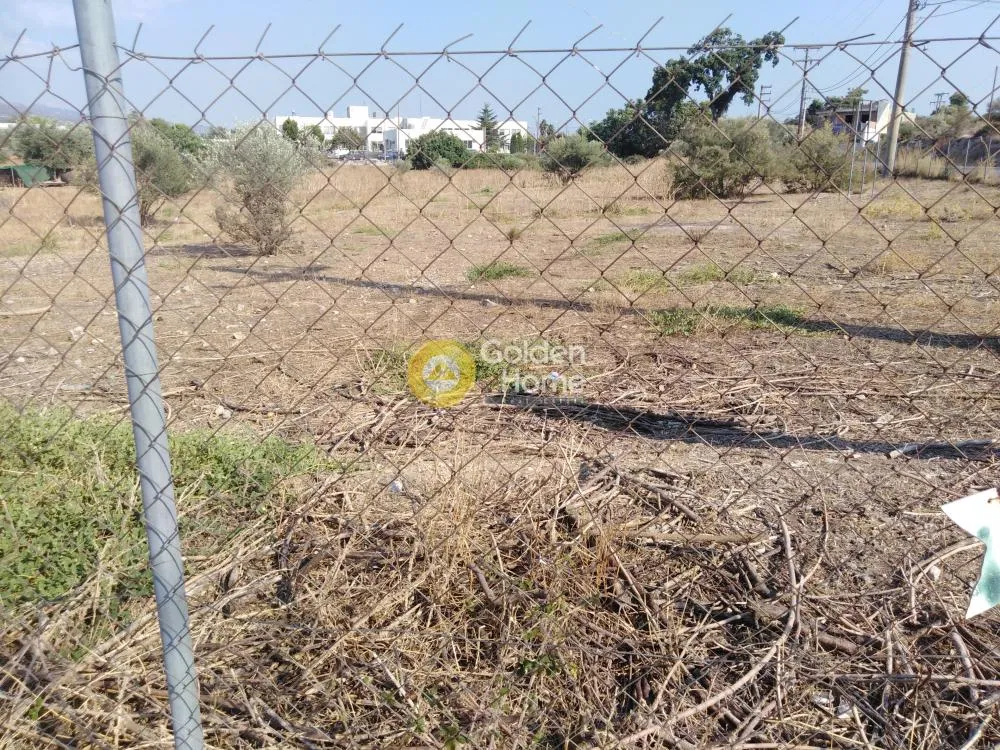 Jardin - Corner Plot with Mountain View in Chalkida - Dokos