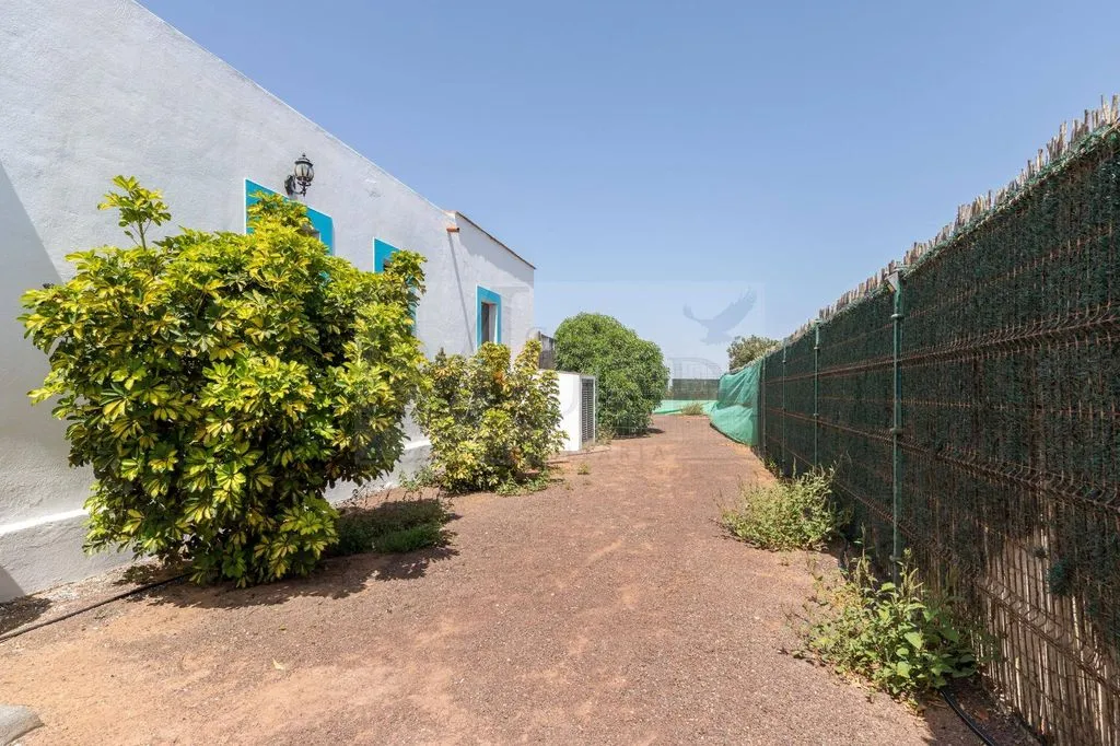 Jardin - Luxury Villa with Pool in Villaverde, Getafe