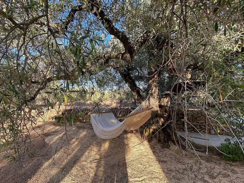 Jardin - Rustic House with Sea and Mountain Views in Coll de l'Alba
