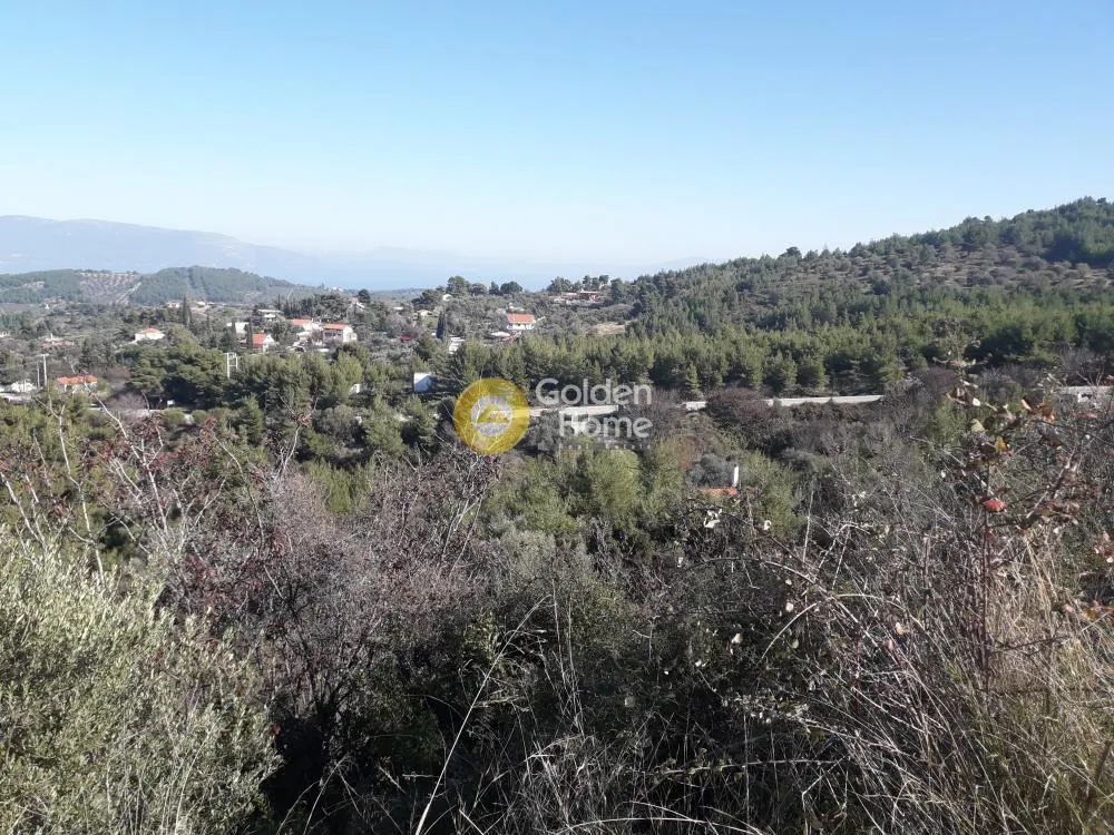 Agricultural Plot with Sea View in Markopoulo, Attica