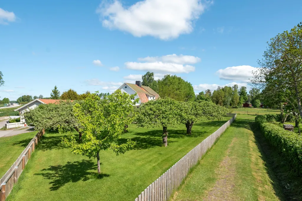 Jardin - Charming Villa with Garden in Gesala