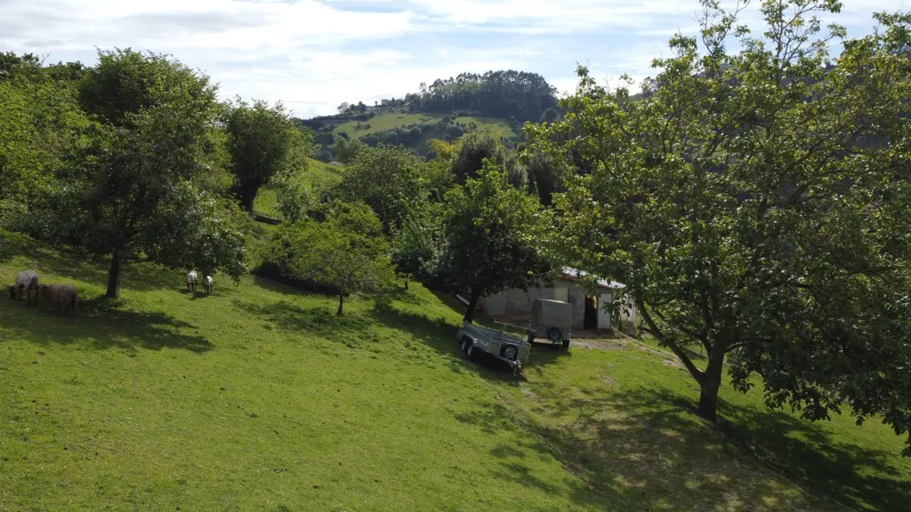 Jardin - Buildable Plot with Garden in Leorio