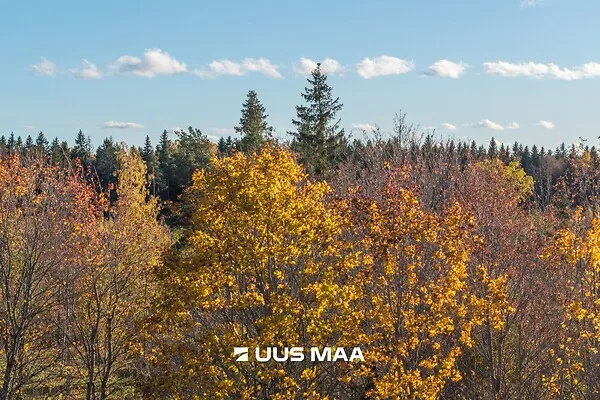 Terrain à Lääne-Harju vald