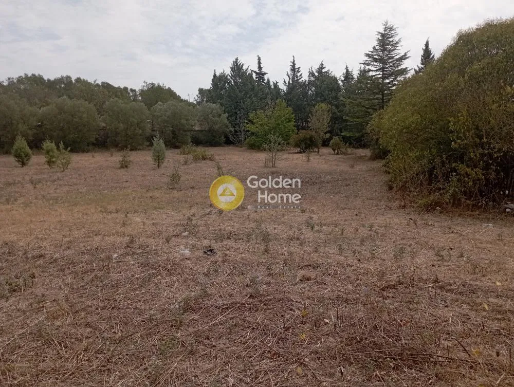 Jardin - Plot with Unrestricted View in Trikolofo