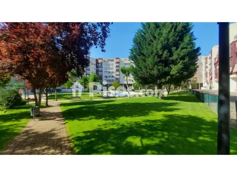 Aed - Apartment with Pool in Valdebernardo