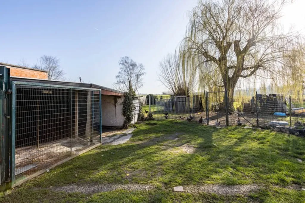 Jardin - Maison avec jardin et terrasse à Ronse