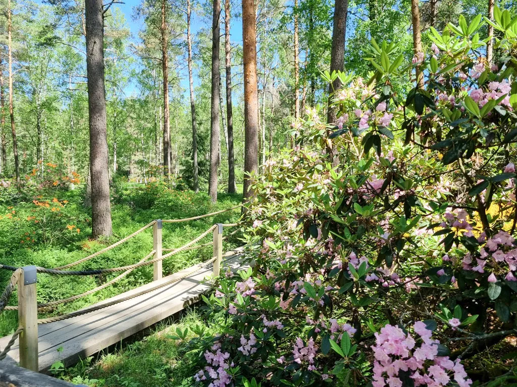 Jardin - Alcove Flat with Garden in Haaga, Helsinki