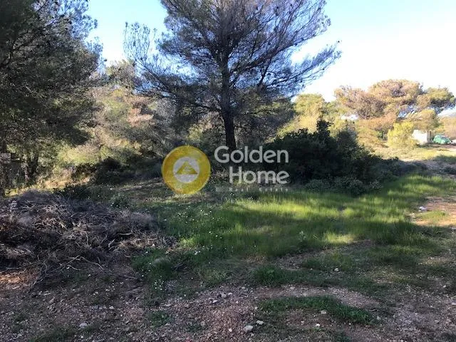 Terrain à GR