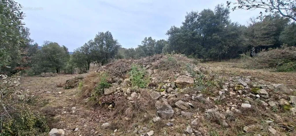 Aed - Buildable Land with View in Saint Maurice d'Ibie