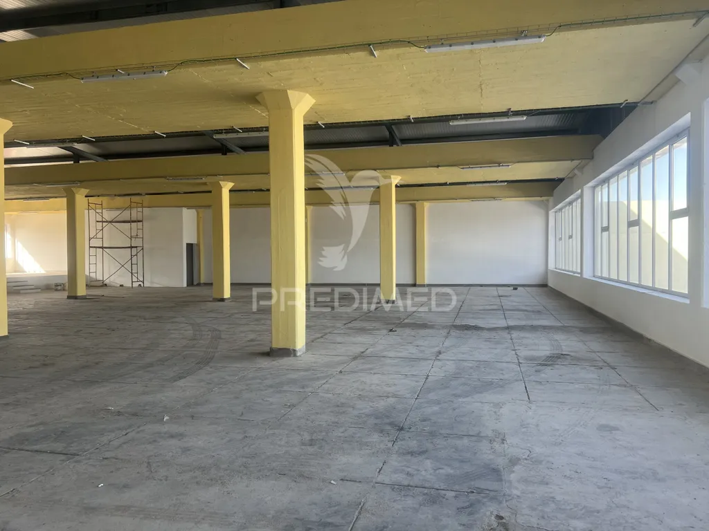 Toad - Warehouse in Prior Velho, Lisbon