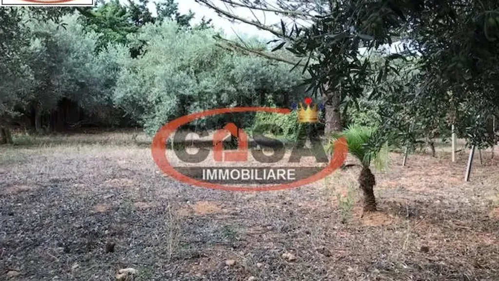 Jardin - Restored Villa with Olive Grove in Marsala