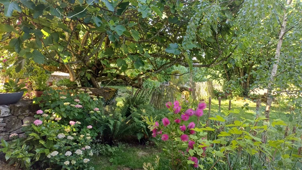 Jardin - Demeure du 18ème avec Piscine près de Thenon