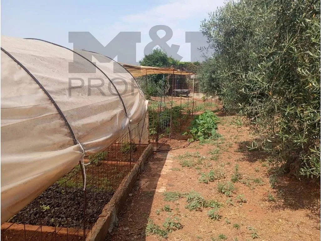 Aed - Rural Cortijo with Pool near Alange