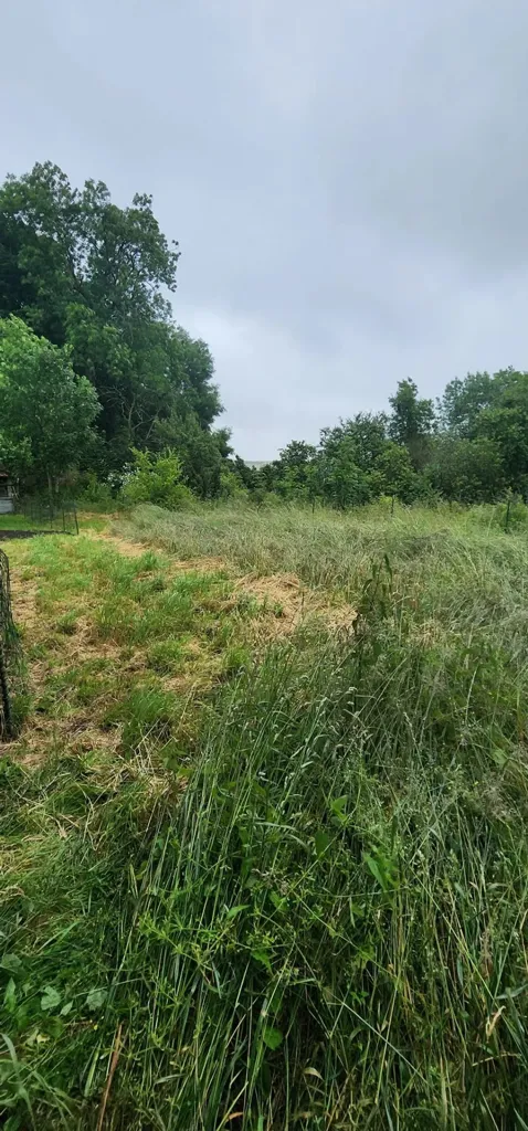 land_plot