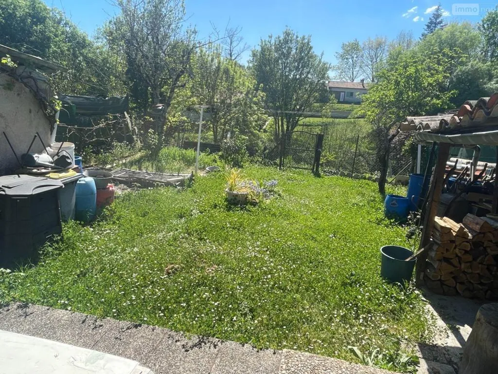 Jardin - Maison Ancienne en Pierre avec Jardin à Parcoul-Chenaud
