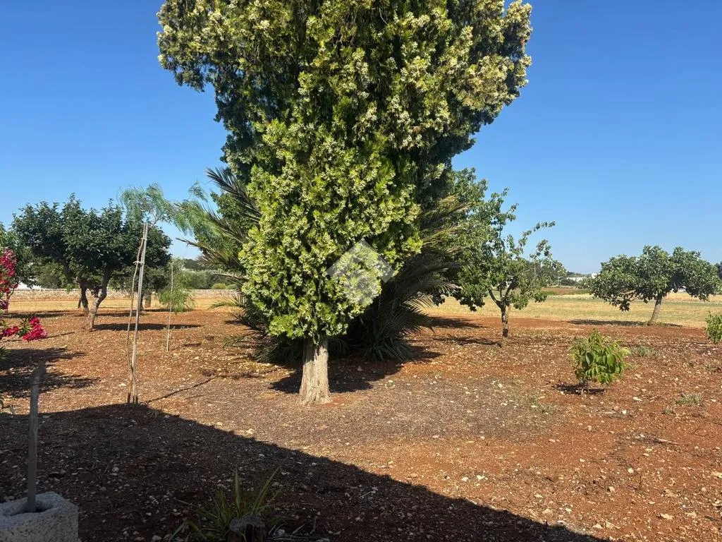 Jardin - Trulli Complex with Private Garden in Martina Franca
