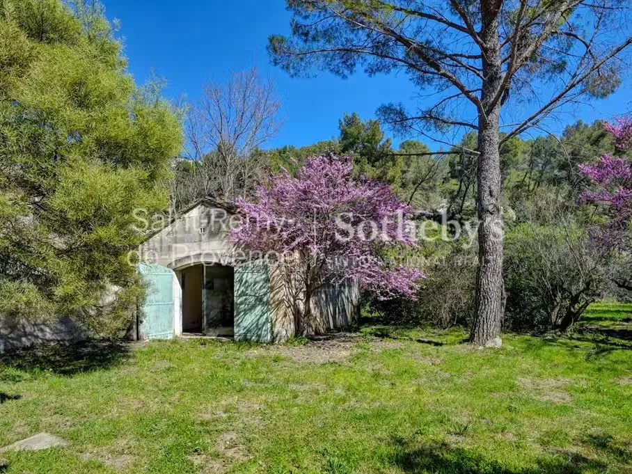 Garden - Charming Property with Pool in Baux de Provence
