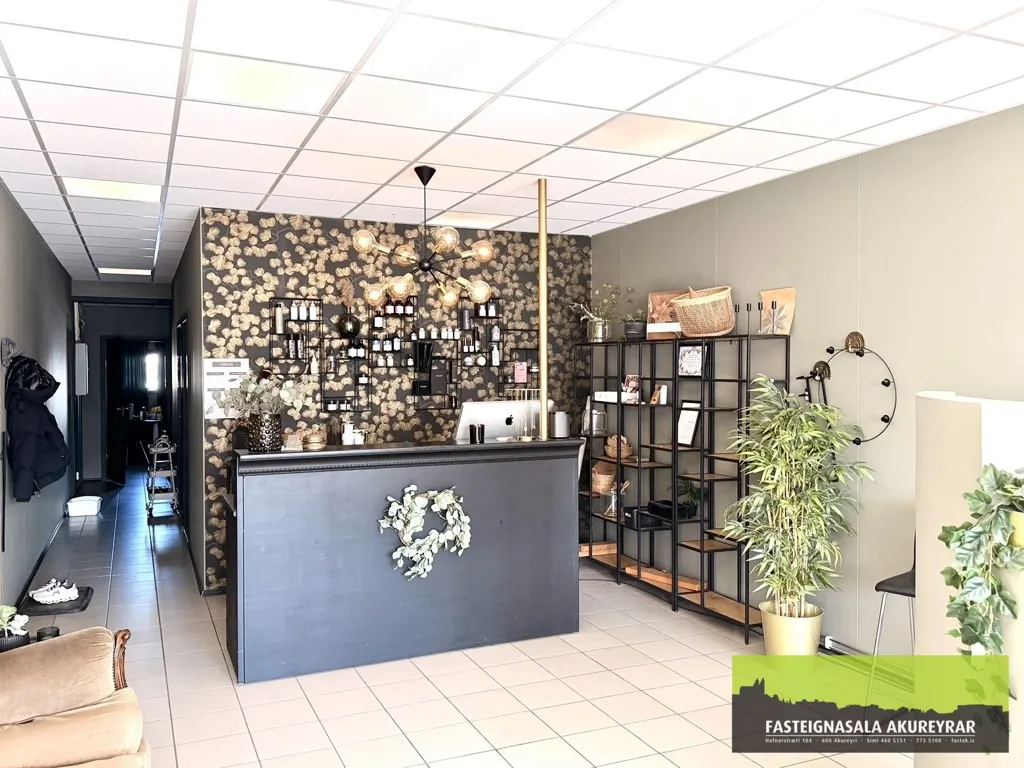 Toad - Commercial Property with Central Location in Dalvík