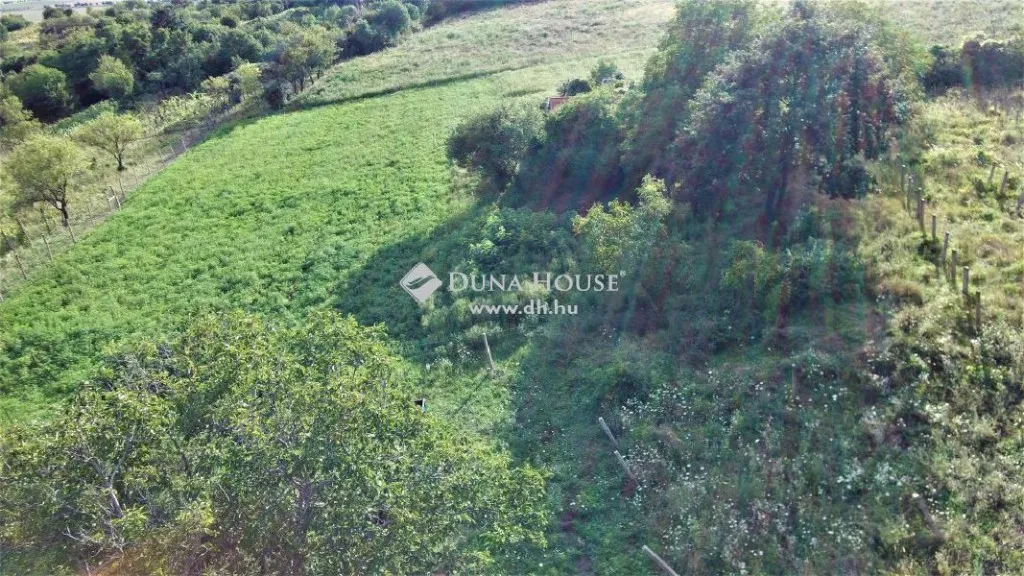 Õhuvaade - Panoramic Plot with Vineyard Potential in Köveskál