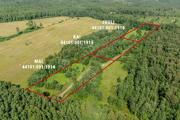 Vue aérienne - Development with Sea View in Paslepa, Lääne-Nigula