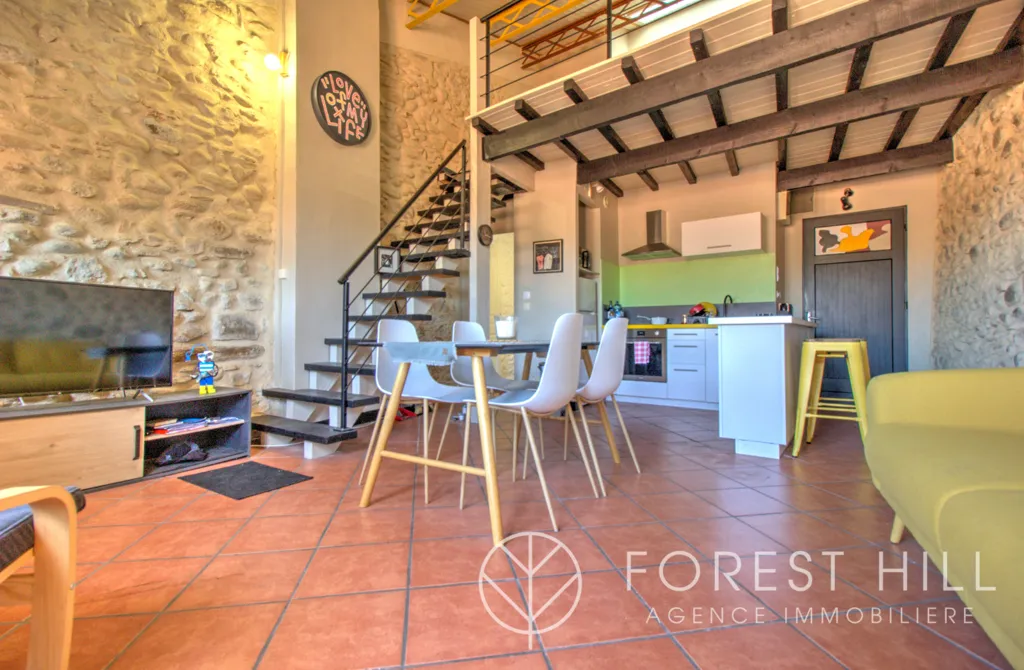 Elutuba - Stone Loft with Mezzanine in Céret Centre