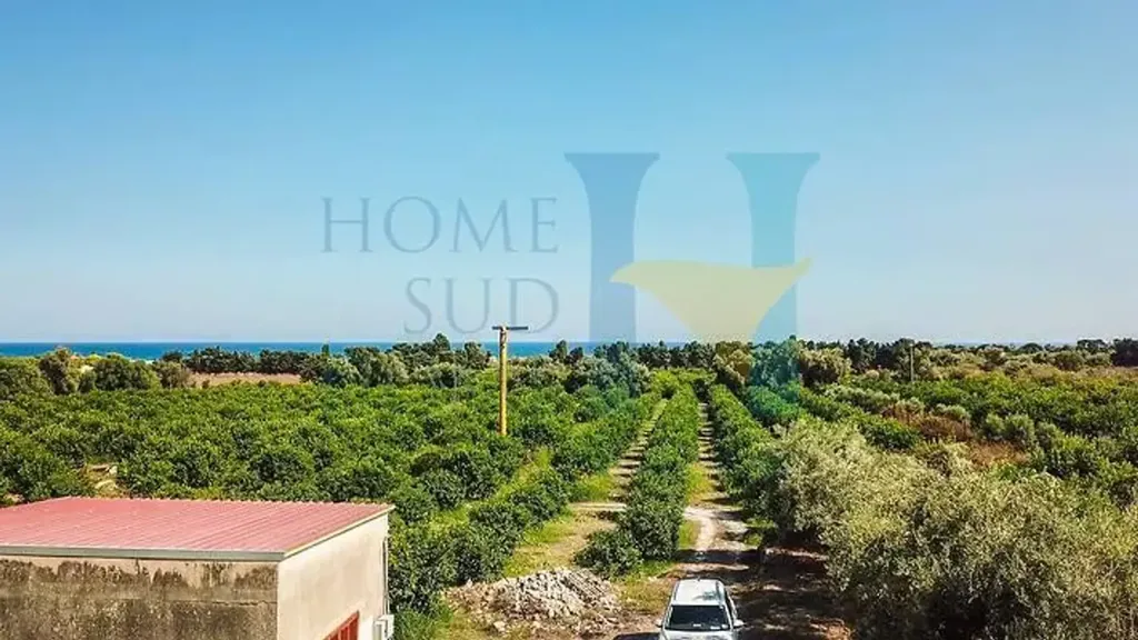 Aed - Warehouse with Lemon Grove near Avola