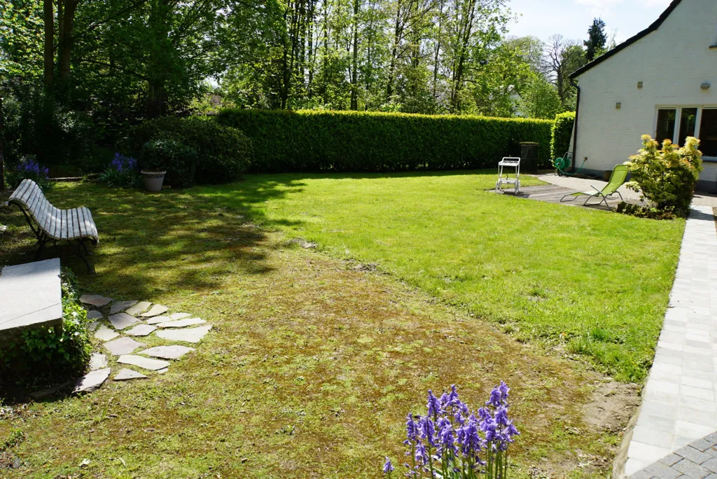 Aed - Villa with Forest View in Overijse