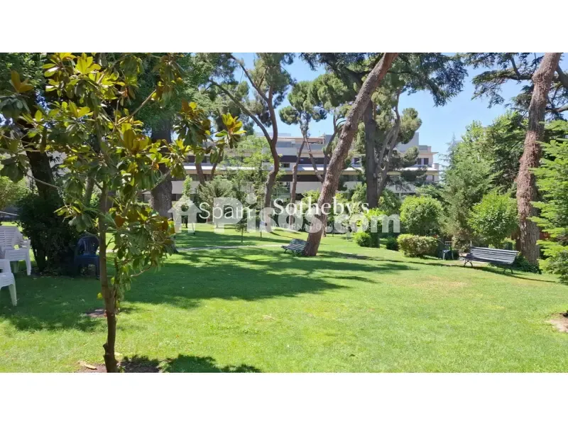 Giardino - Penthouse with Pool in Chamartín
