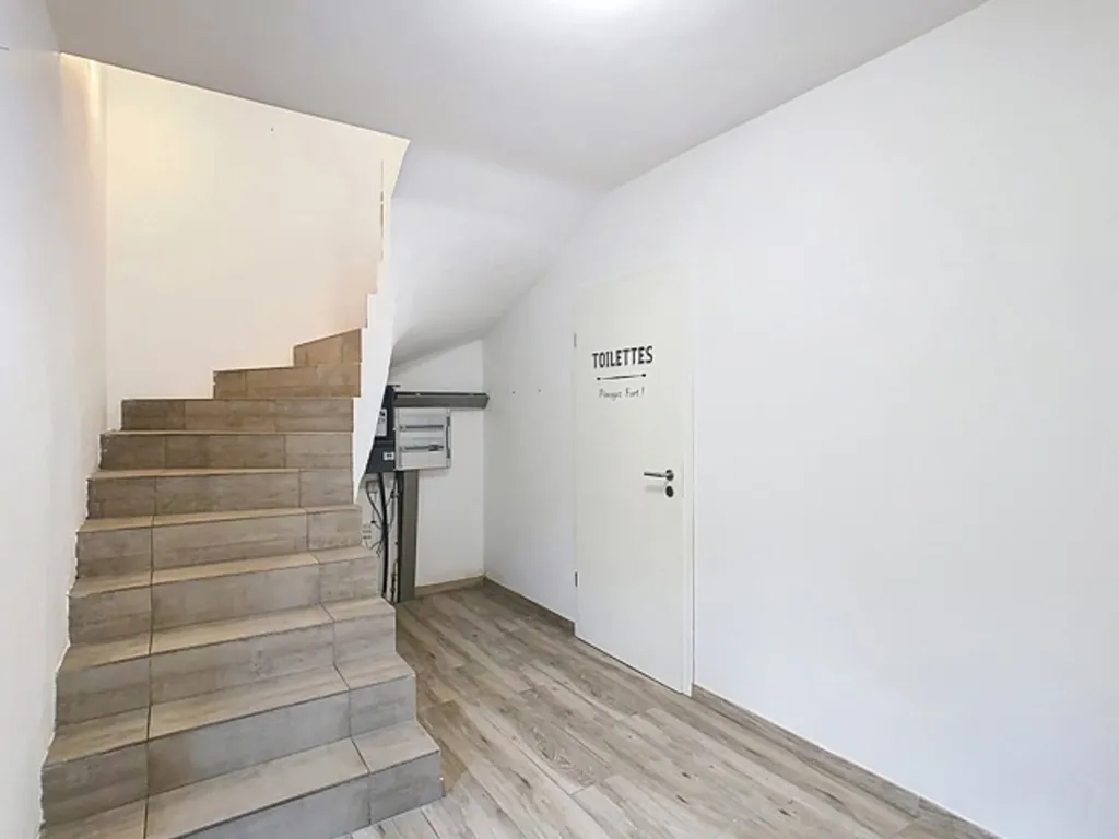 Toad - 3-Bedroom House with Terrace in Anhée