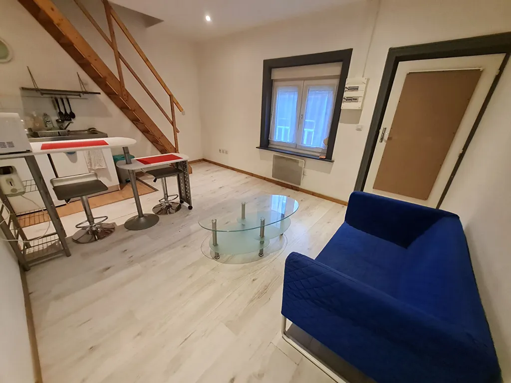 Elutuba - Meubled Flat with Cellar in Lille