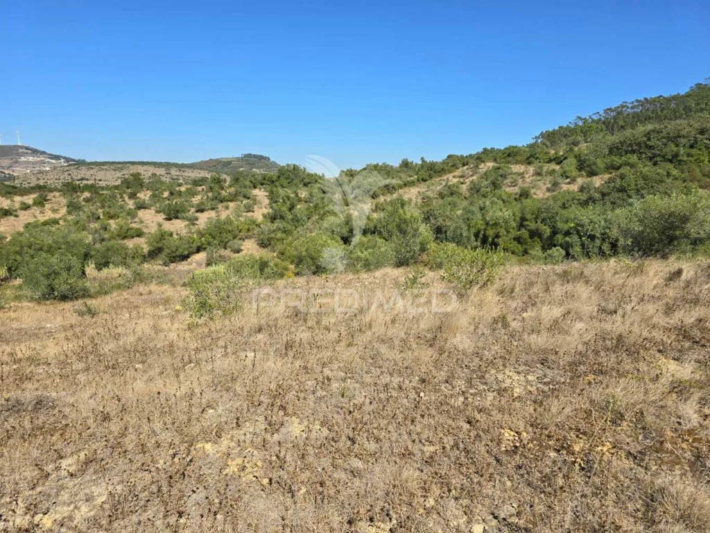 Jardin - Rustic Land with Approved Project in Mafra