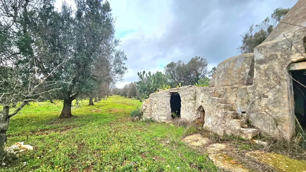 Esterno - Trullo da ristrutturare con terreno a Carovigno