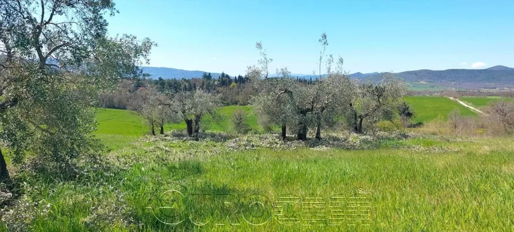 Aed - Rustic Casale with Olive Grove near Perugia