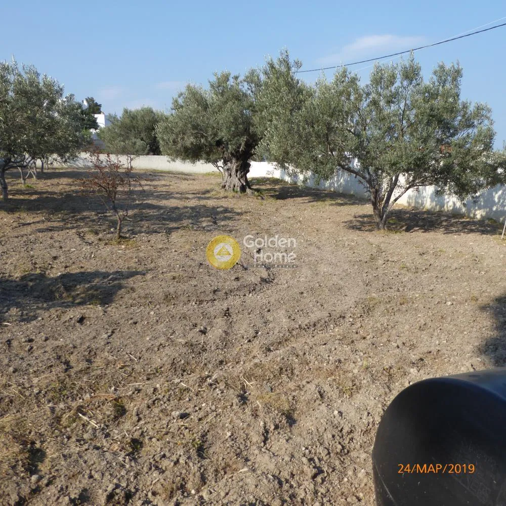 Aed - Plot with Panoramic View in Agia, Egina