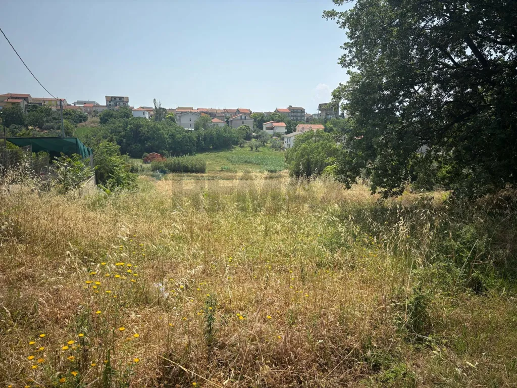 Jardin - Buildable Land with Road Frontage in Cepagatti