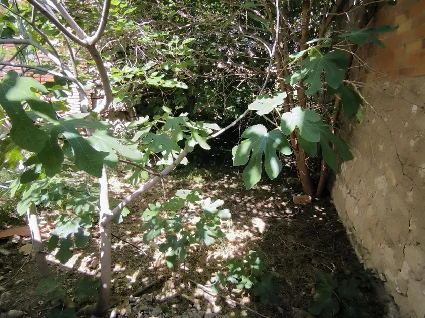 Giardino - Traditional Chalet with Terrace in Castelldans