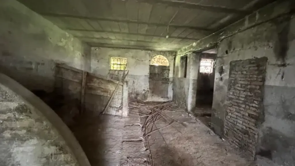 Toad - Traditional Romagnola House with Fienile in Forlì