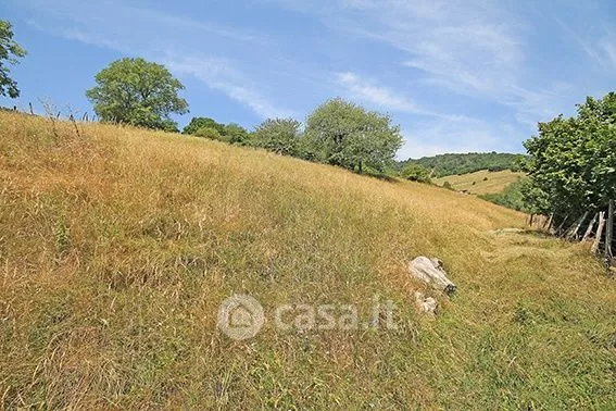 Jardin - Rustic Casale with Garden in Vigolo